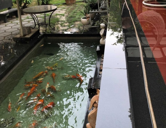 Bán biệt thự 4 mặt thông thoáng 433,7 m² Jamona Thủ Đức nội thất cao cấp view sông trực diện